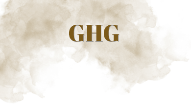 GHG - Gretchen Holbrook Gerzina GHG - Gretchen Holbrook Gerzina